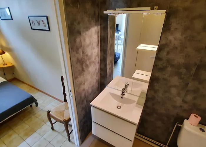 Moderne T2 Avec Wi-fi En Centre-ville, à Proximité Des Thermes De - Fr-1-541-78 *